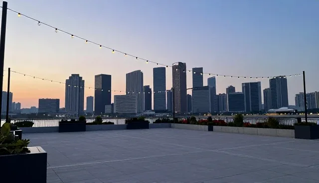 专业网页设计在企业黄页展示中的适用情况与限制